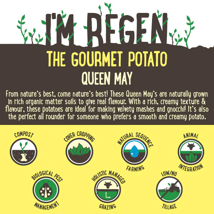 Potato Gourmet Queen May 1kg - Image 4