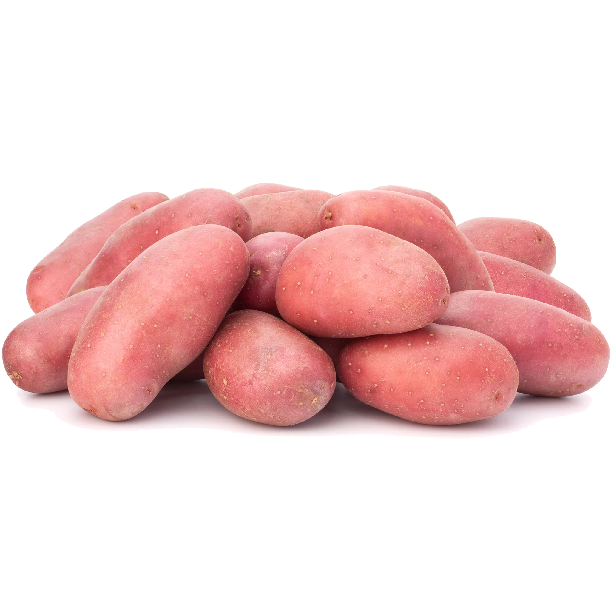 Potato Red Washed 2kg