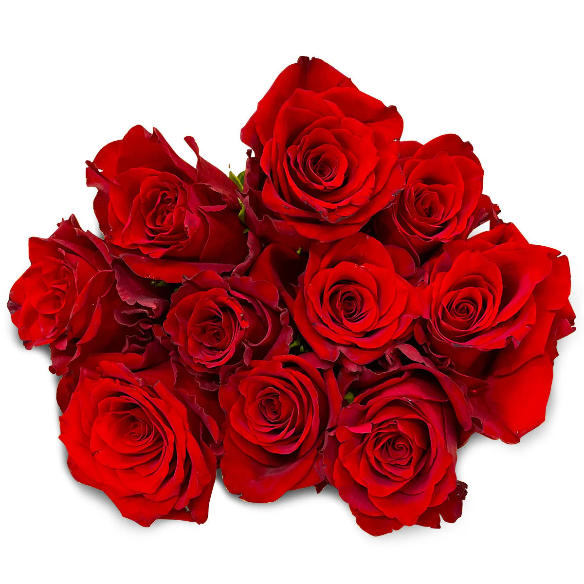 Flowers Premium Roses Bunch 60cm - Image 2