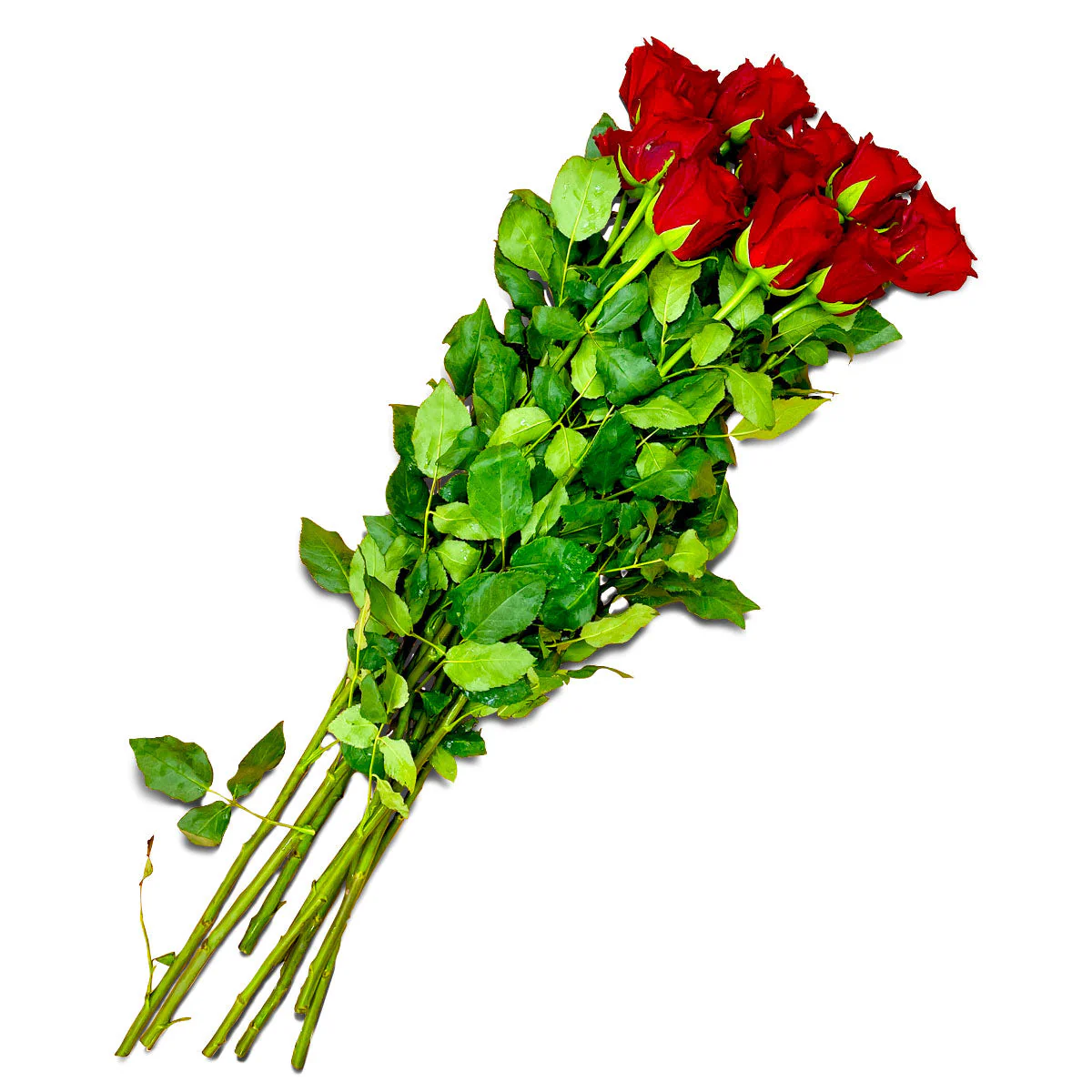 Flowers Premium Roses Bunch 60cm - Image 3