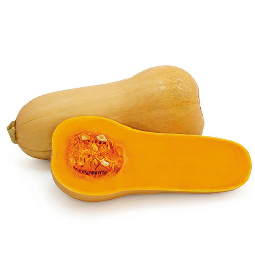 Pumpkin Butternut Whole - Image 2