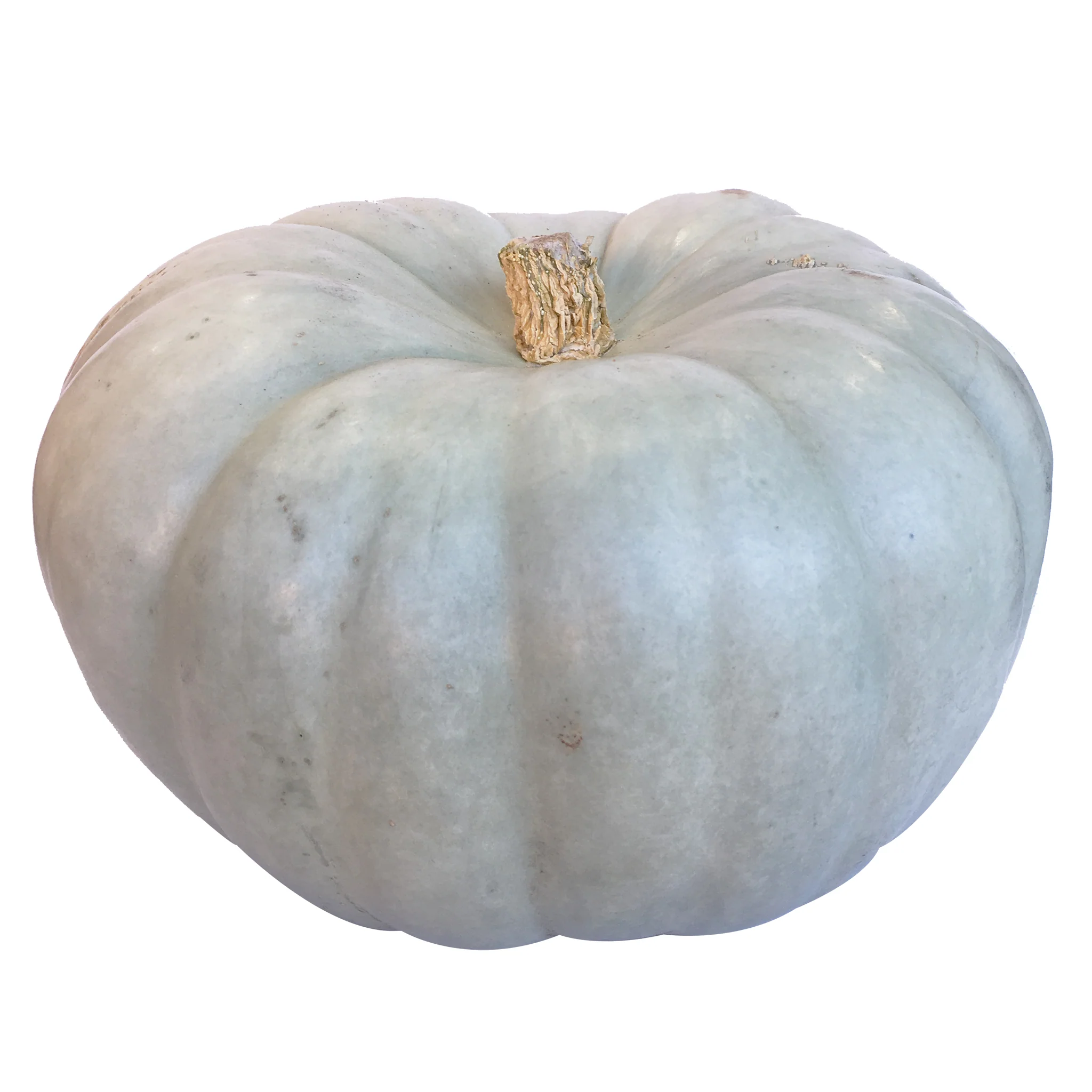 Pumpkin Jarradale Whole