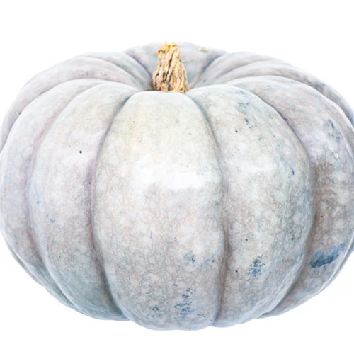 Pumpkin Jarradale Cut Each - Image 2