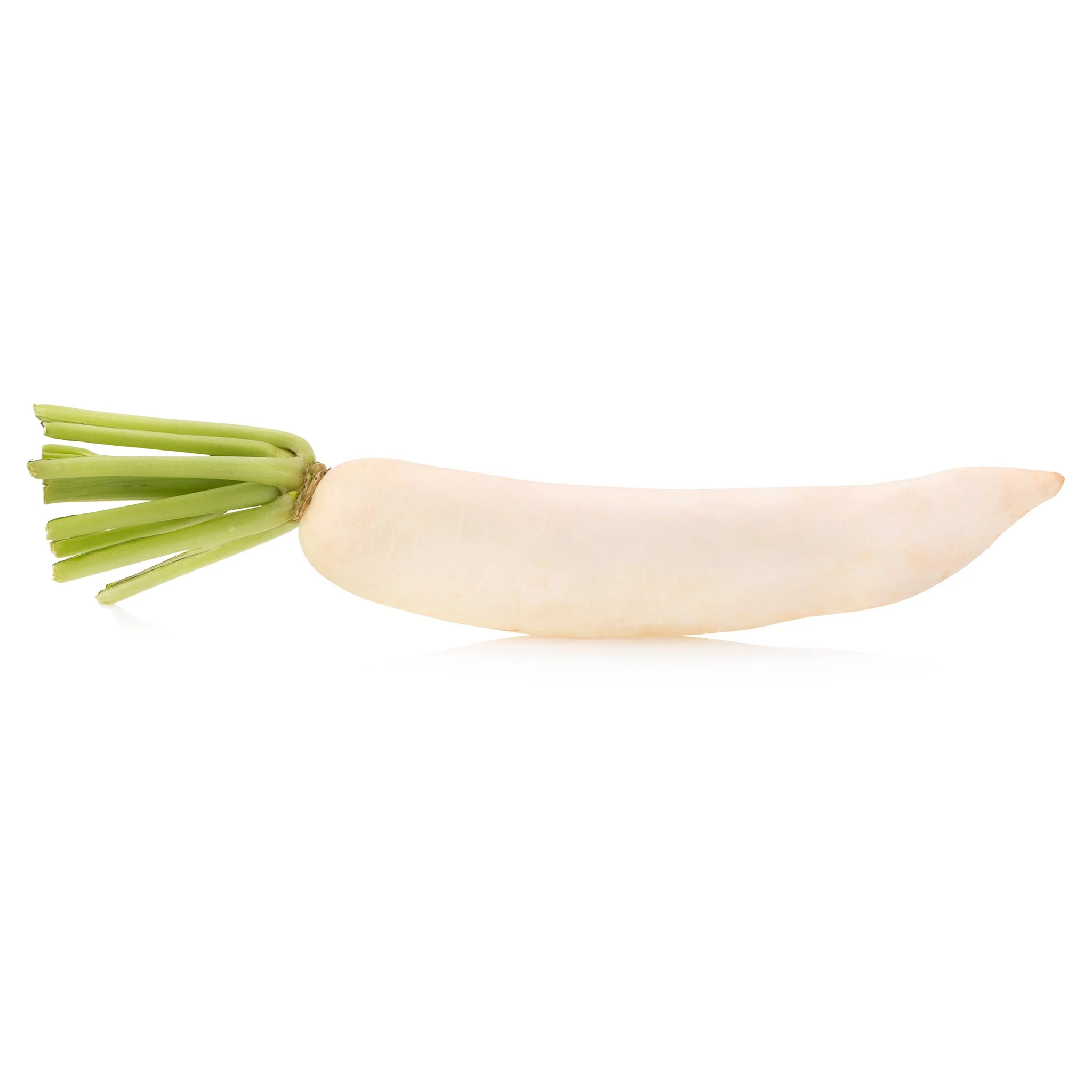 Radish White