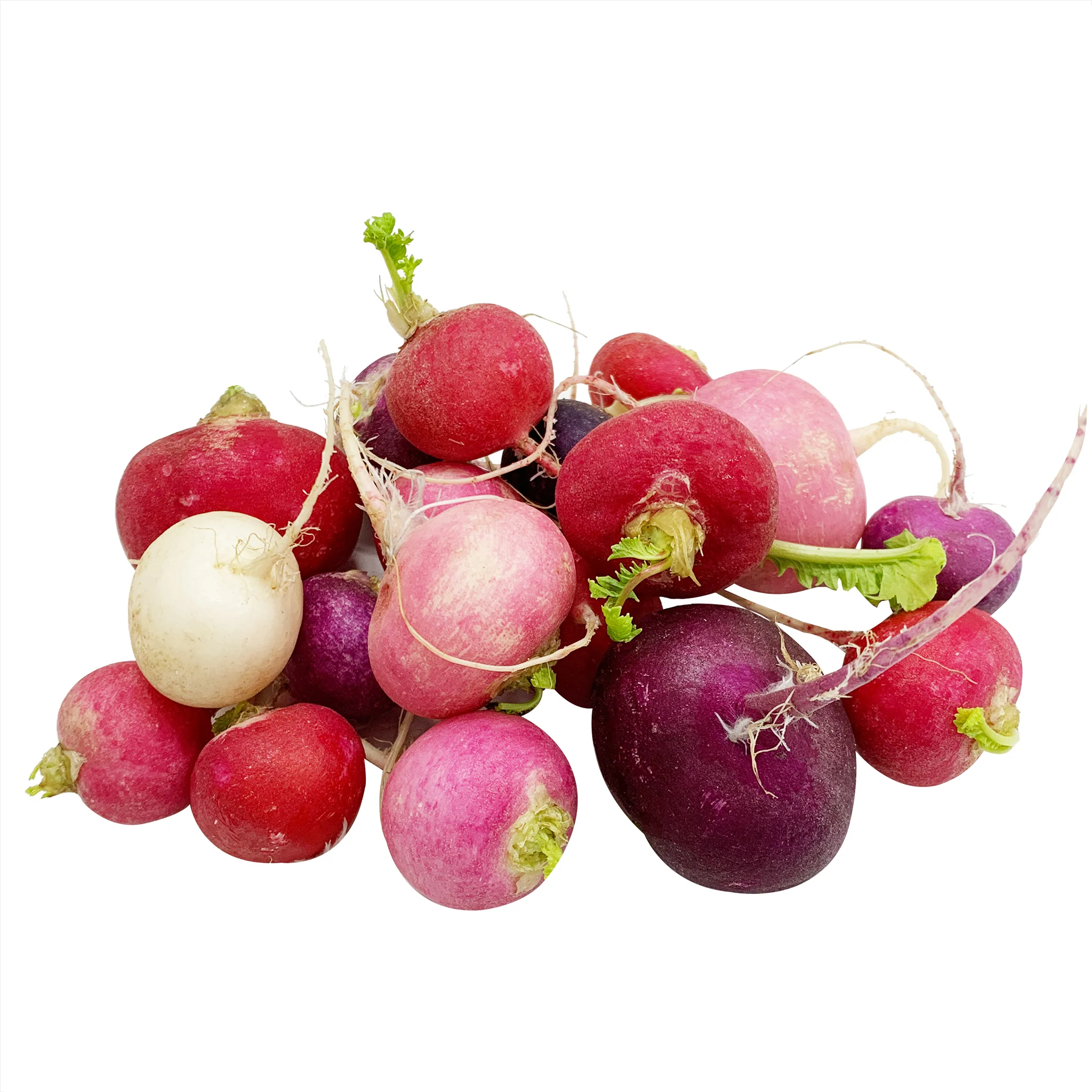 Rainbow Radish 200g