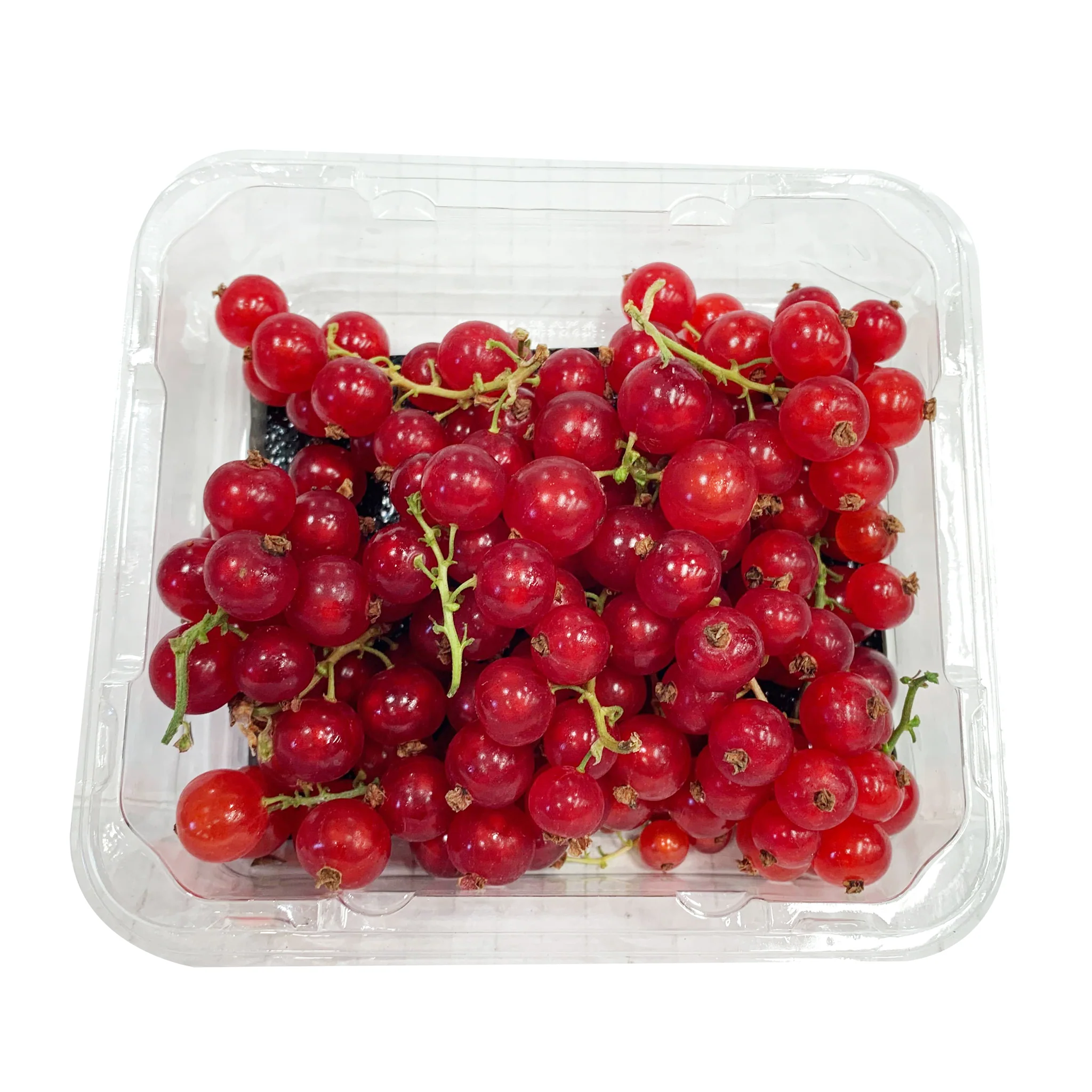 Redcurrants 125g - Image 2