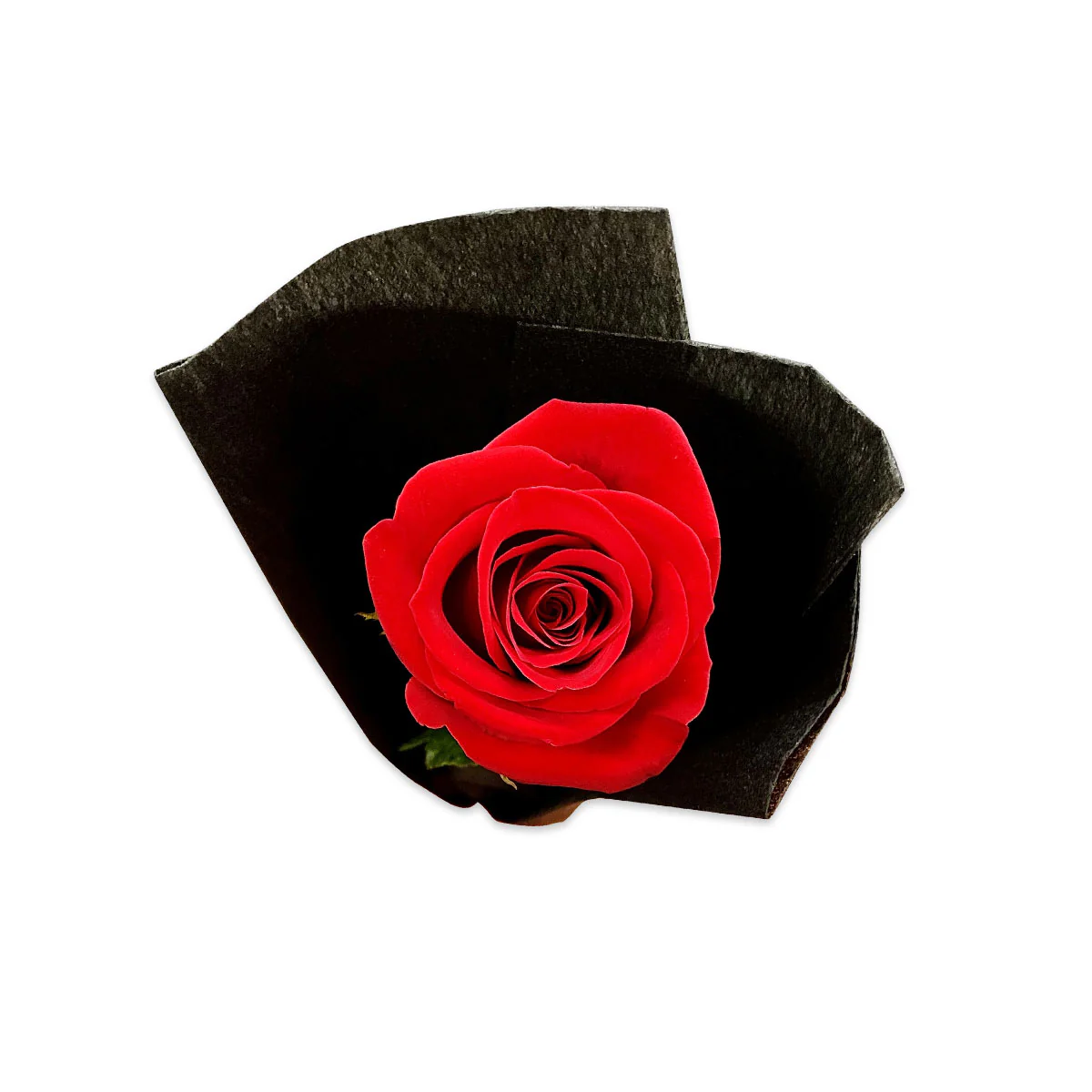 Rose Red Single Stem - Image 2