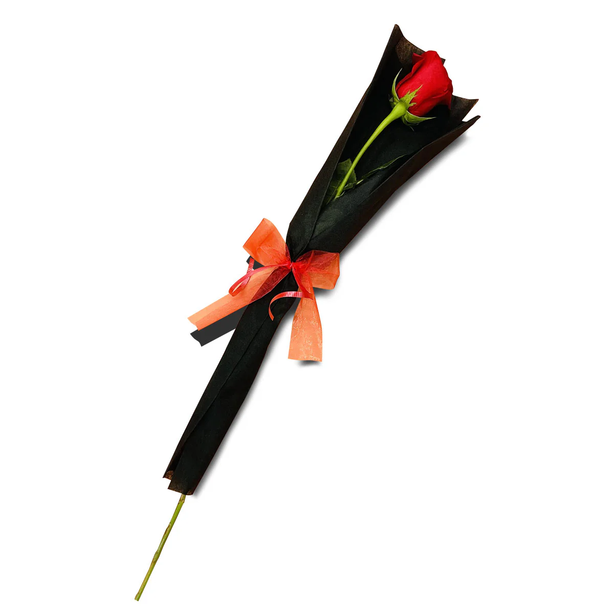 Rose Red Single Stem - Image 3