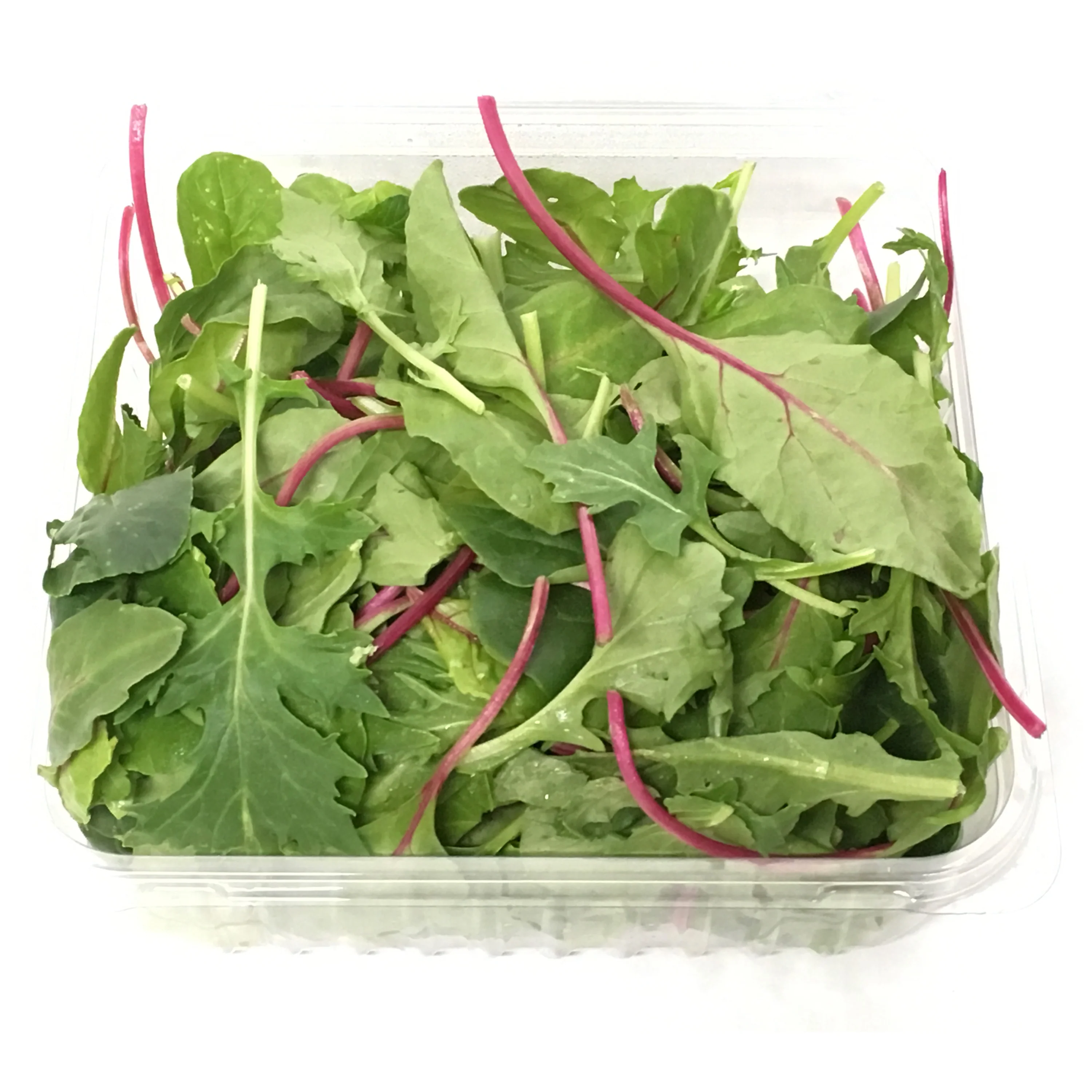 Coolibah Baby Asian Salad Mix 120g - Image 2
