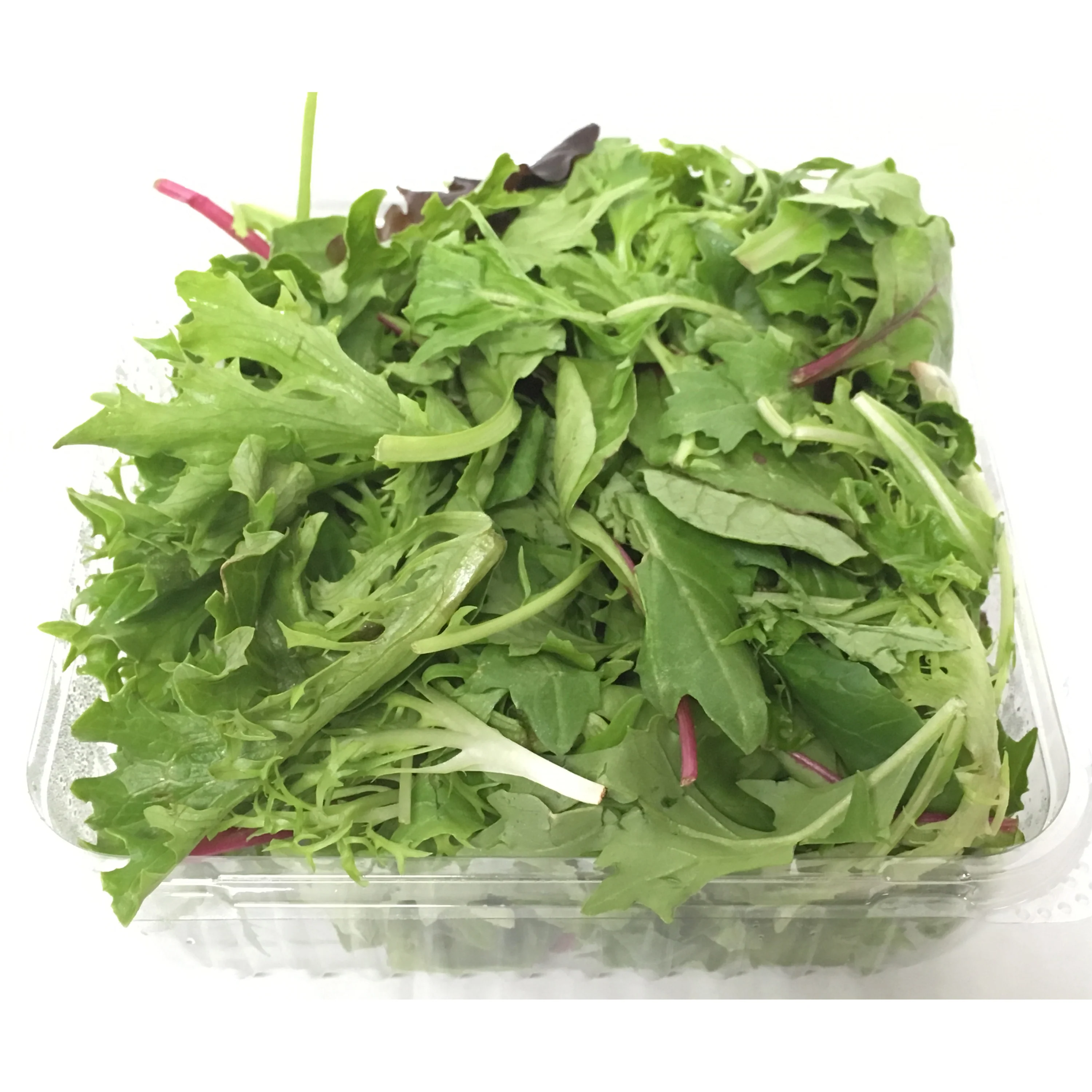 Salad Organic Baby Mixed Leaves 120g - Image 2