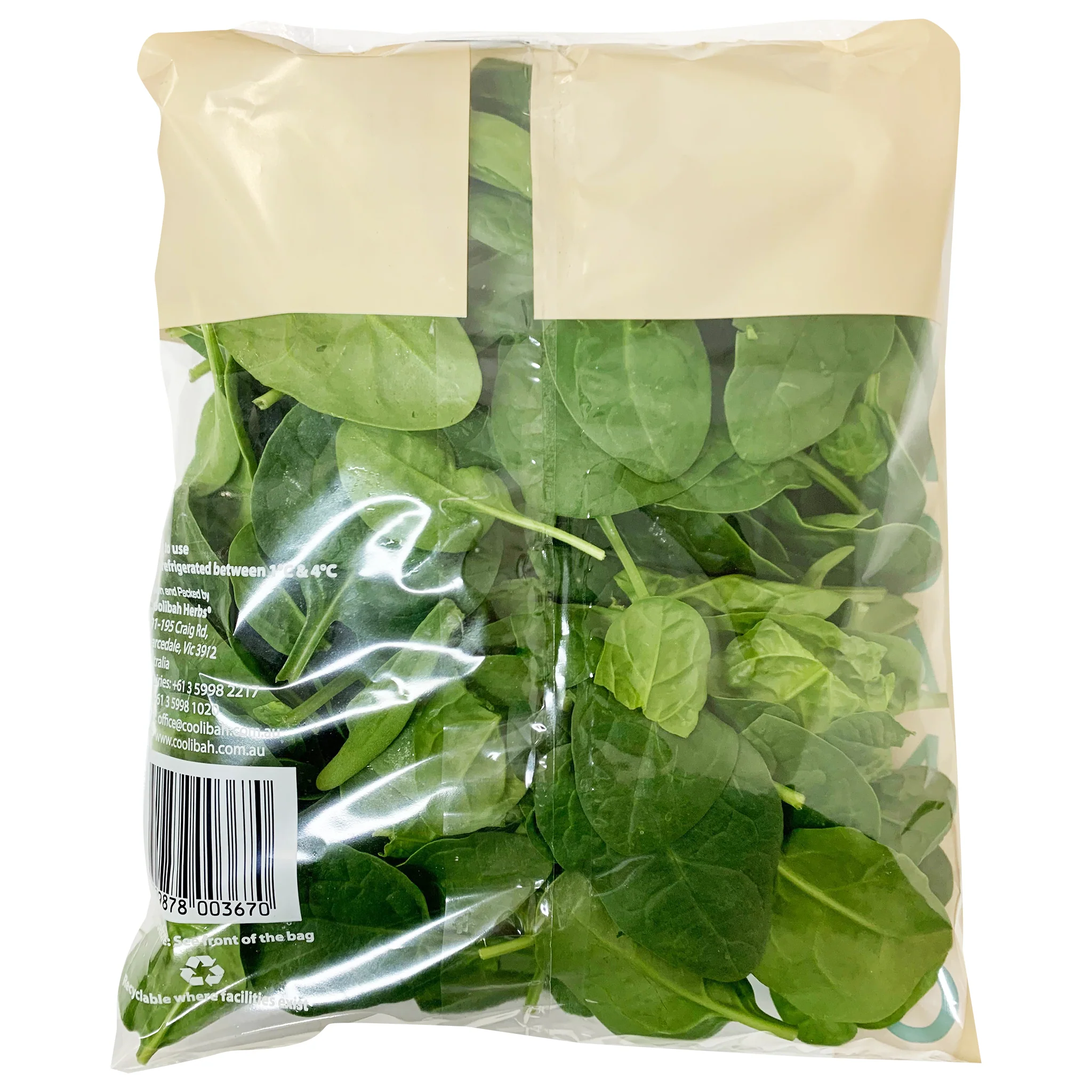 Salad Organic Spinach 100g - Image 3