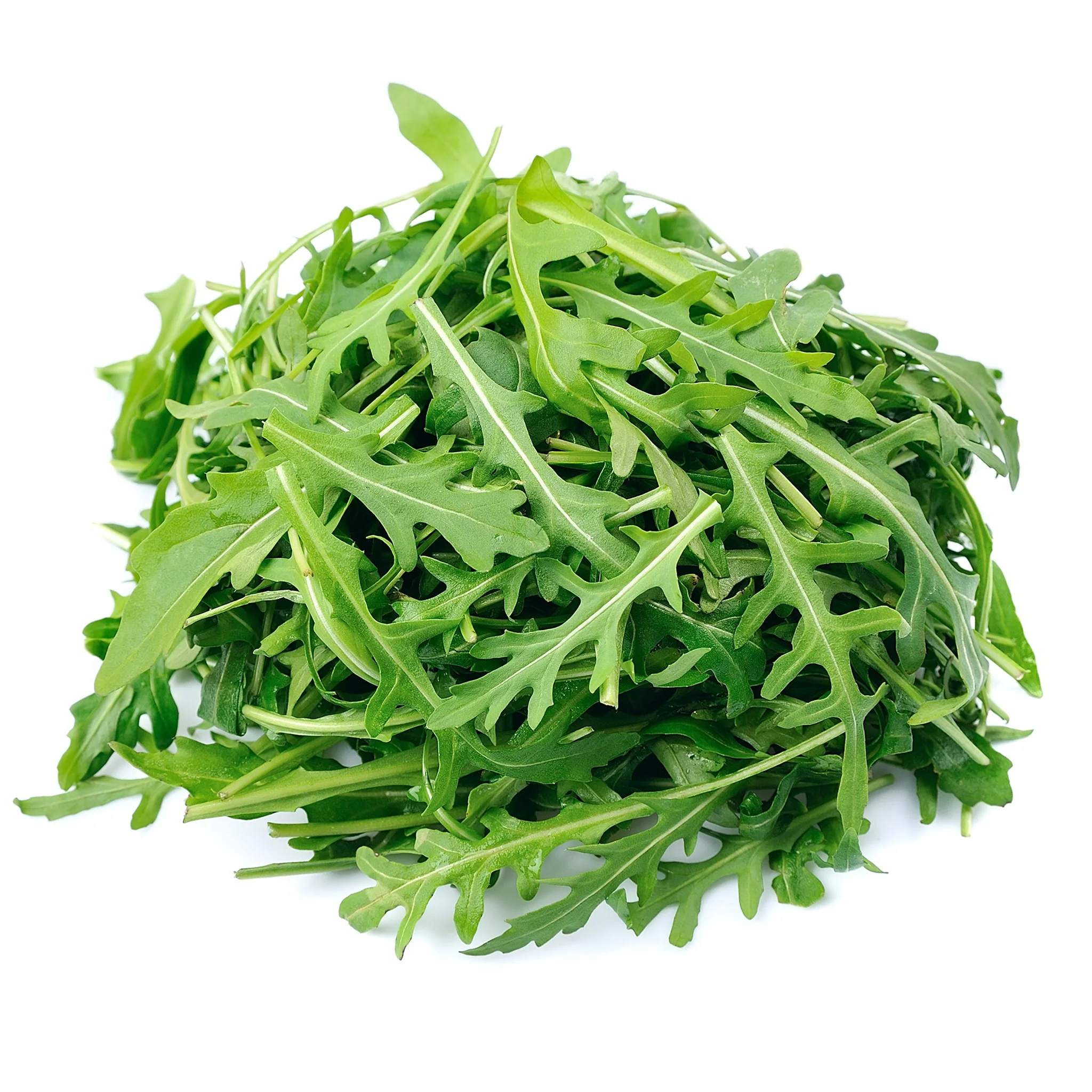 Salad Roquette Wild 100g - Image 3