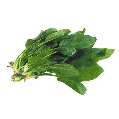 Spinach English Bunch Each