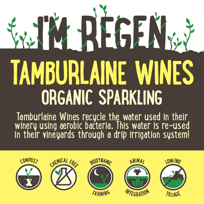 Tamburlaine Organic Premium Cuvee High and Dry Orange NSW 750ml - Image 2