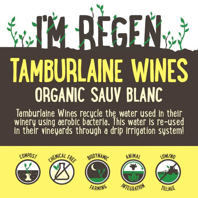 Tamburlaine Organic Sauvignon Blanc Orange NSW 750ml - Image 2