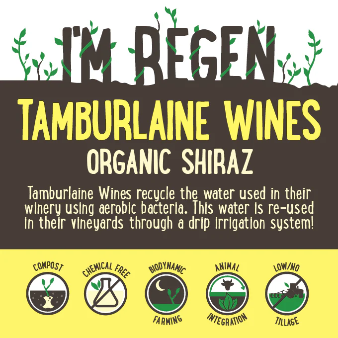 Tamburlaine Organic Shiraz Central Ranges NSW 750ml - Image 2