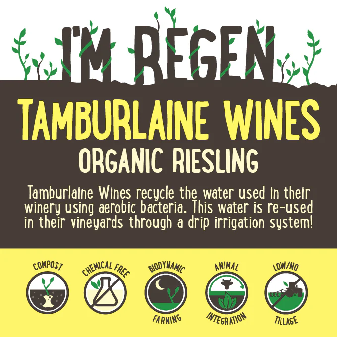 Tamburlaine Wines Organic Riesling Orange NSW 750ml - Image 2