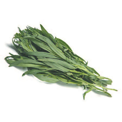 Fresh Herbs Tarragon Punnet