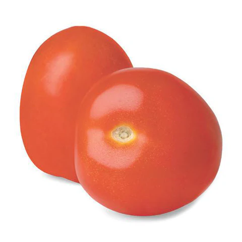 Tomato Roma Each