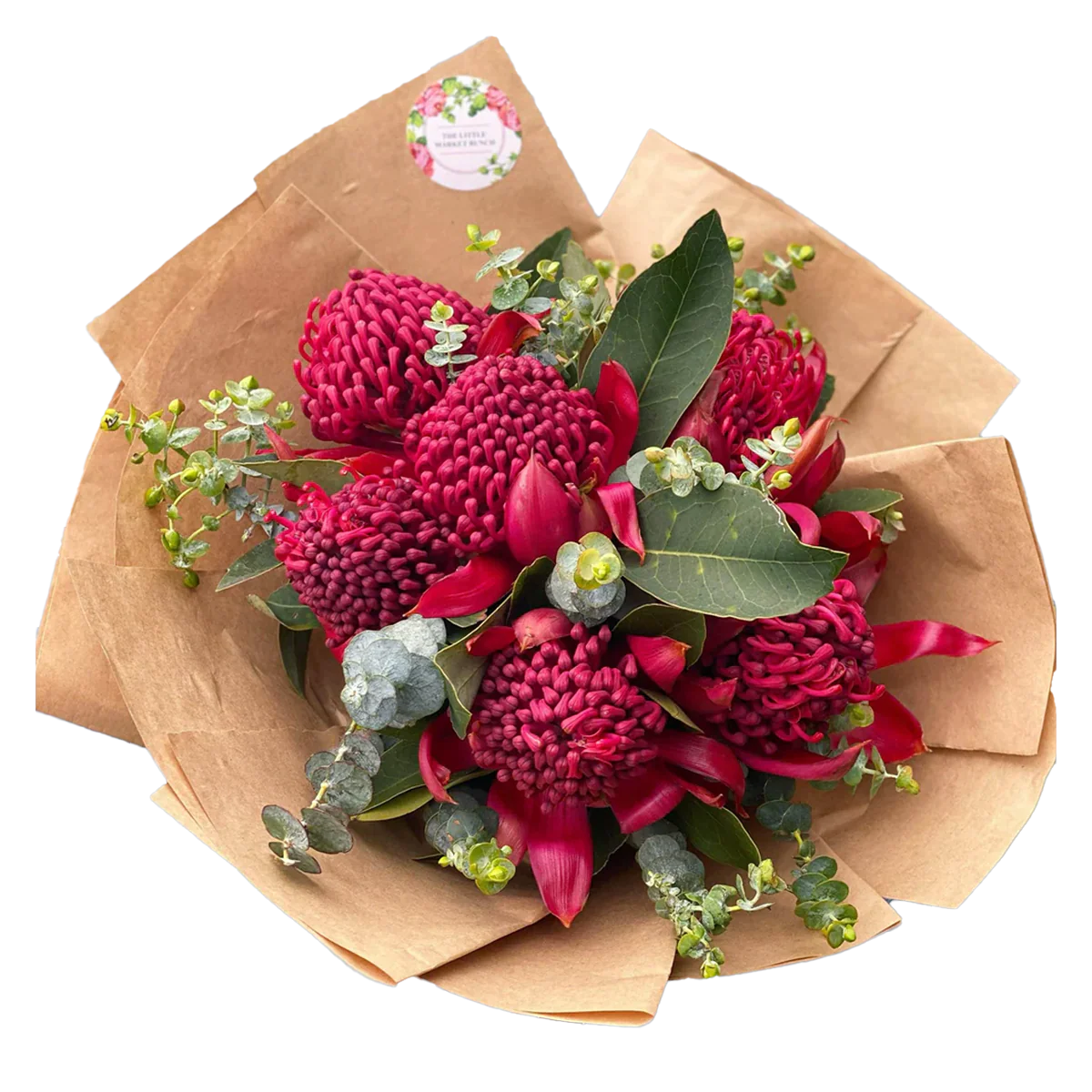 Waratah Flower Bunch