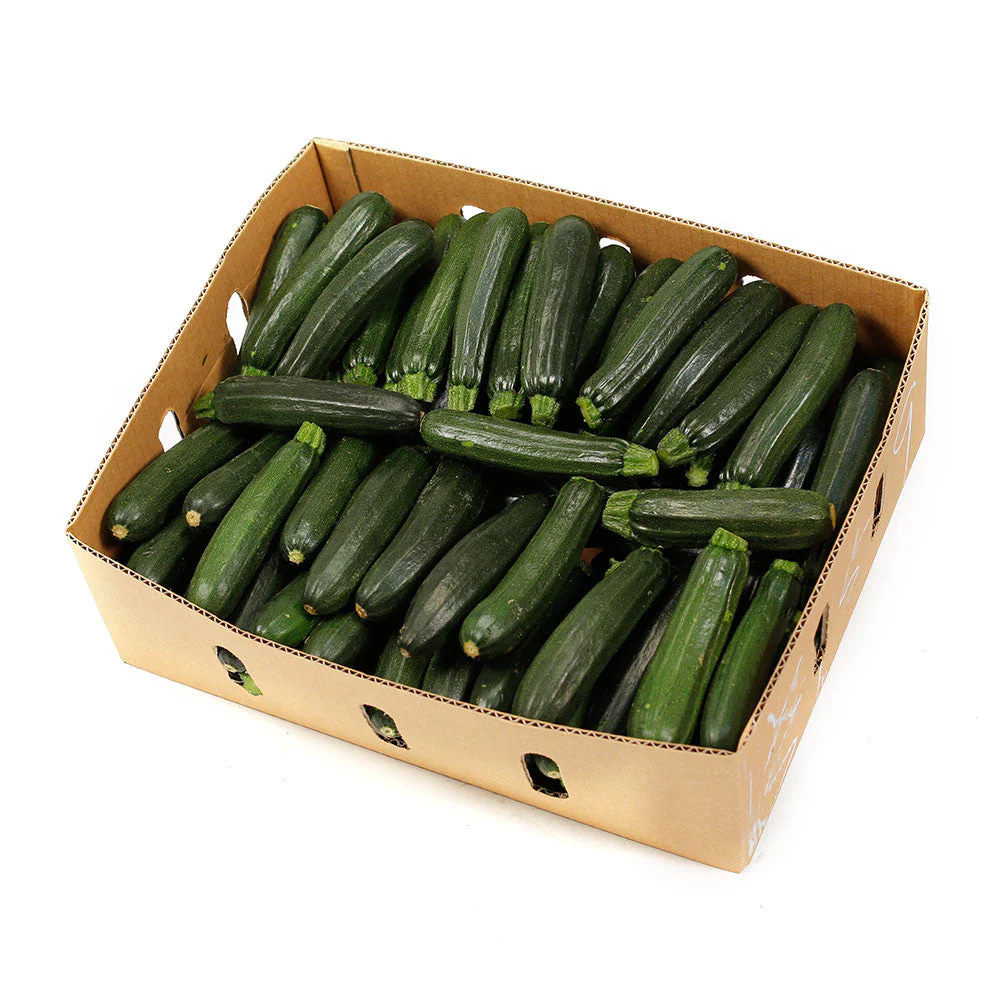 Zucchini Black Box 10kg